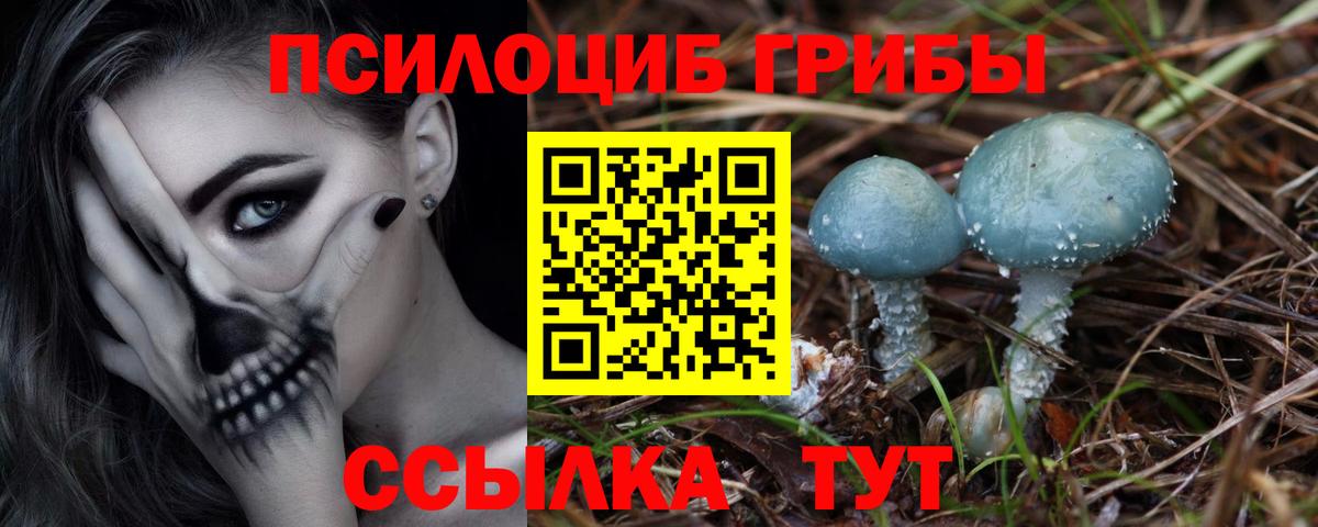 наркота  Вход с VPN  Новоалександровск  Галлюциногенные грибы Magic Shrooms 
